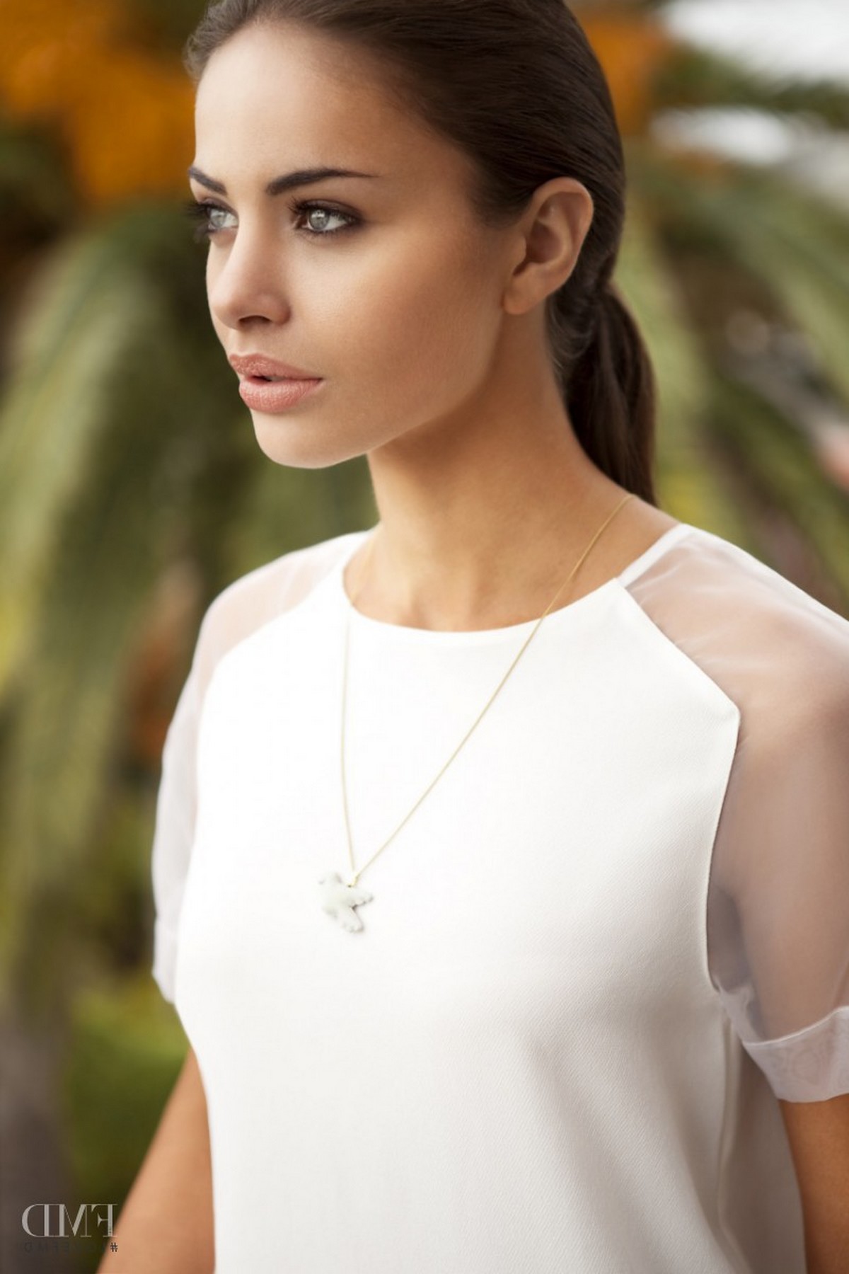 erotic diary of lumberjack