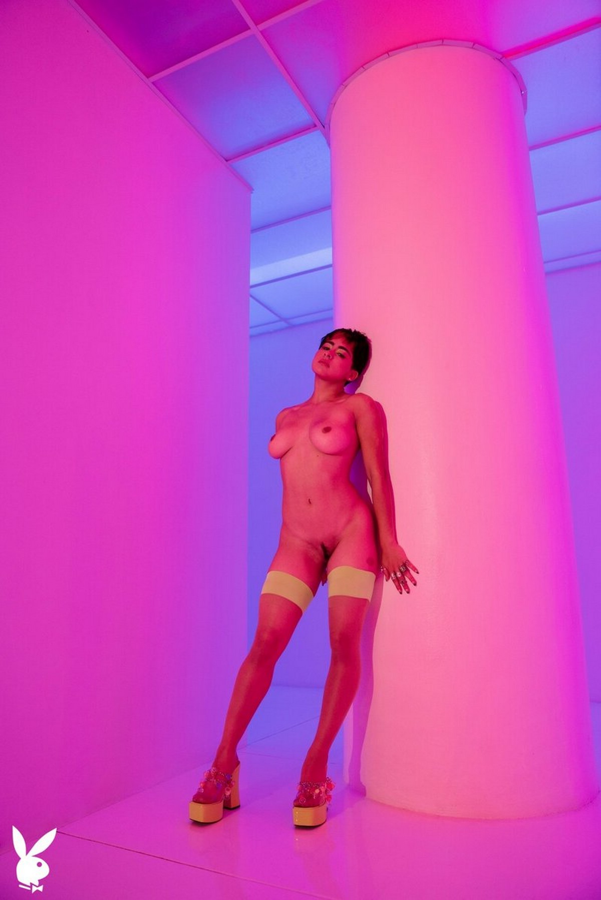 evi fox bdsm